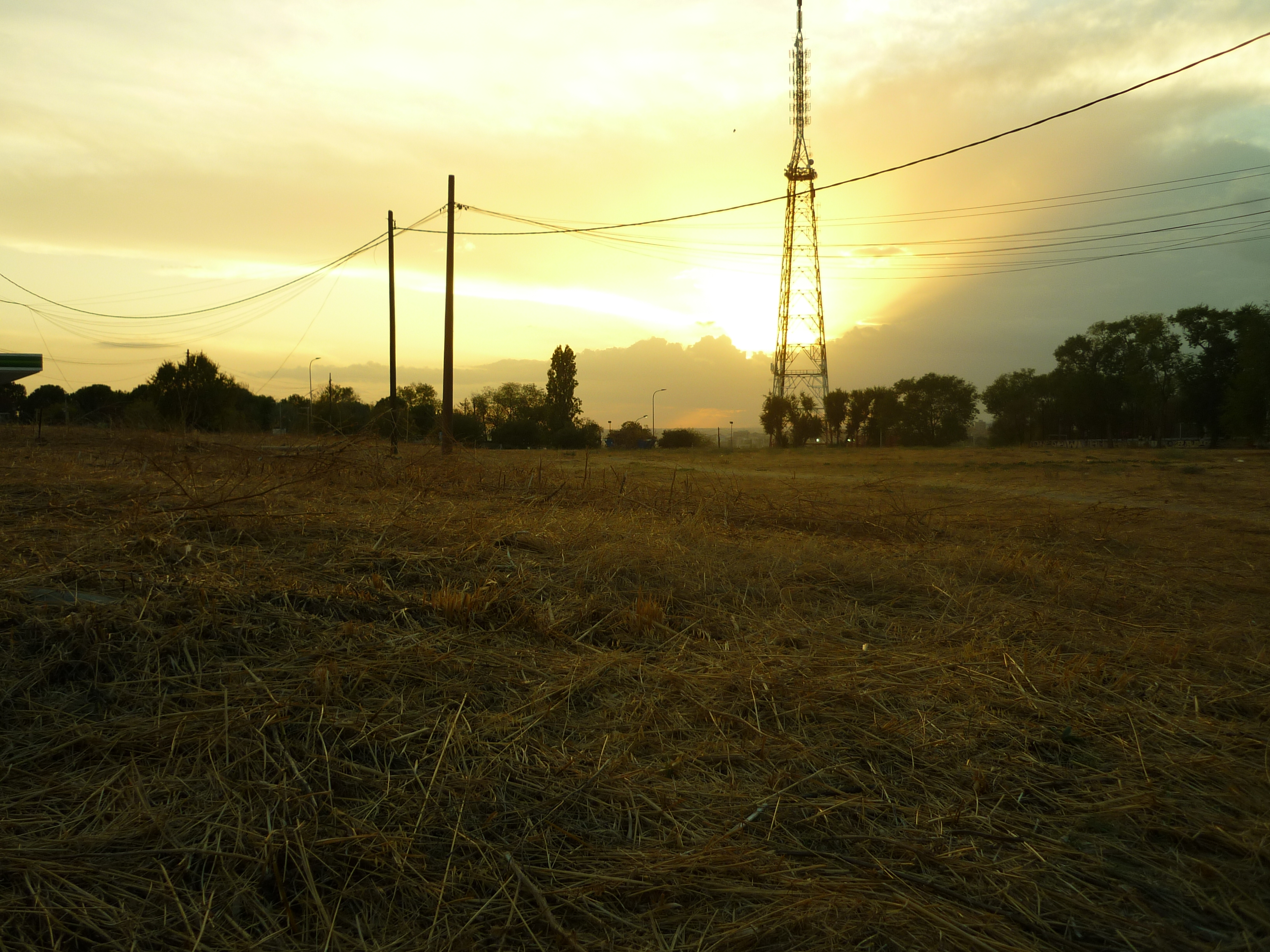 Descampado al atardecer
